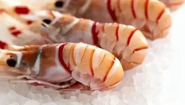 食材冻品企业市场开发·周度执行行动清单