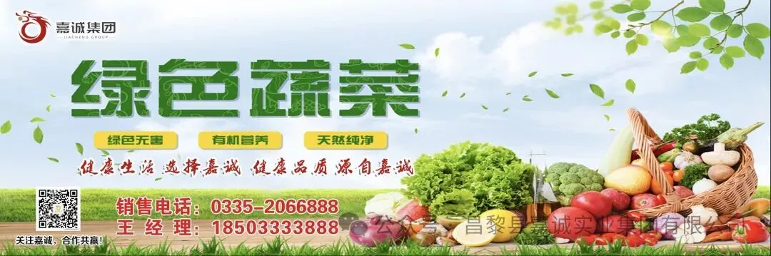 嘉诚集团农副产品批发市场今日价格—-2026年3月26日