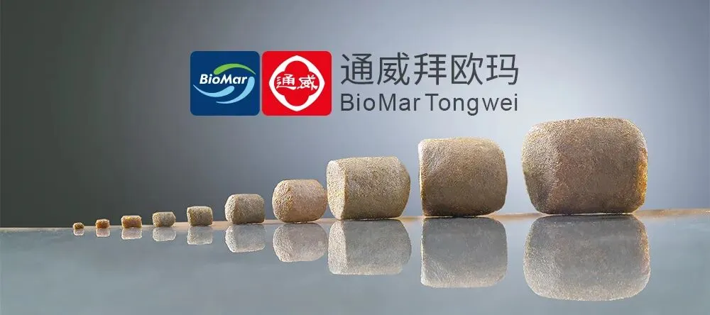 挪威海产品2月出口持续下滑,中国市场成增长主力