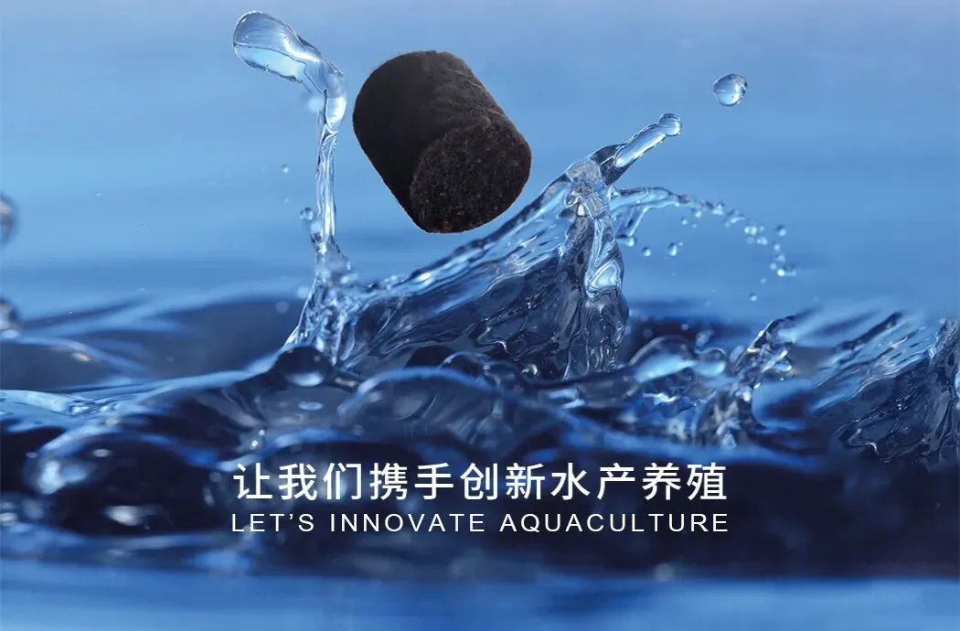 挪威海产品2月出口持续下滑,中国市场成增长主力