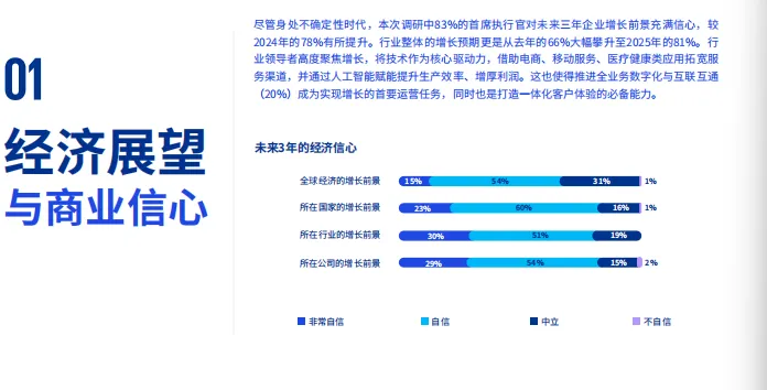 全球银行业与资本市场首席执行官展望(中文版)-23页
