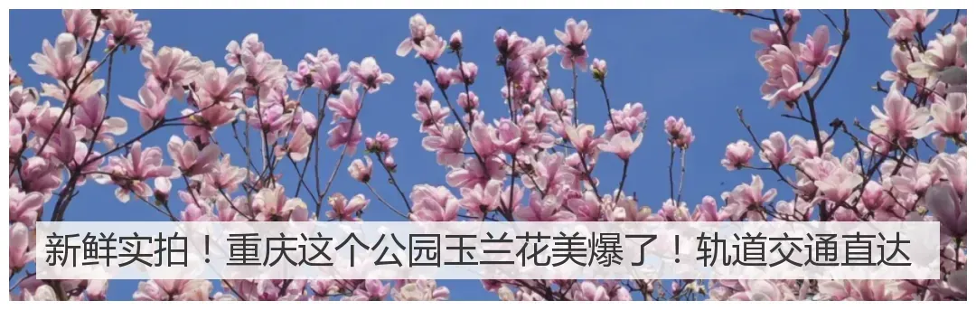 读懂“她”,读懂消费市场的现在与未来