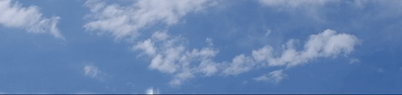 数字化营销再提速—— 投控置业公司营销部开展新媒体专项培训