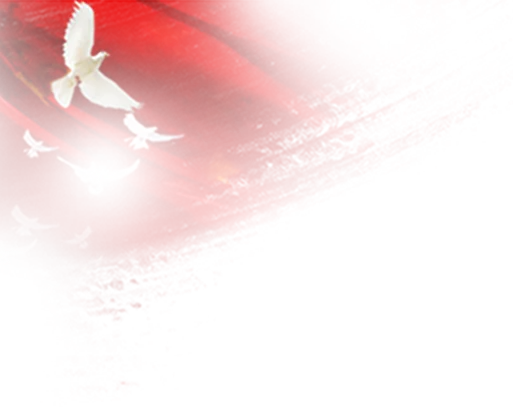 【主题党日】计算机与信息技术学院学生第一党支部研学东北老航校旧址