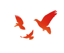 【主题党日】计算机与信息技术学院学生第一党支部研学东北老航校旧址