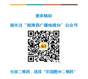 【美丽南澳我的家】小牡蛎走俏市场 生态养殖助农增收