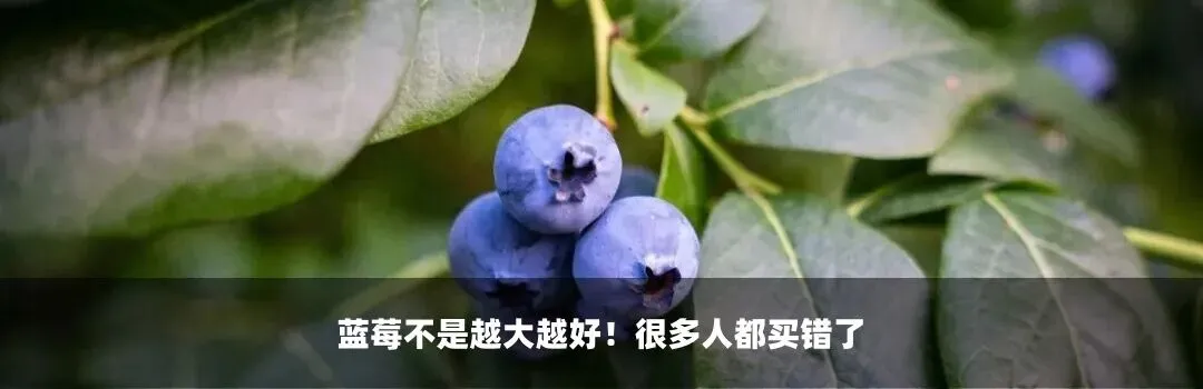 教育部、应急管理部、市场监管总局、公安部联合部署!