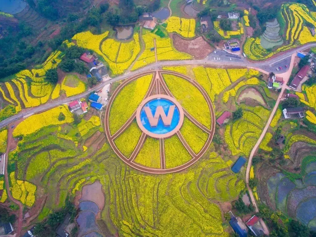 市场遇冷,价格狂跌!2689的五粮液硬通货,今天288抱走2瓶,还赠一壶两杯!