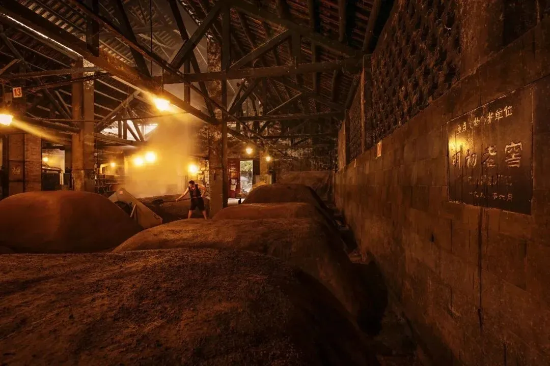 市场遇冷,价格狂跌!2689的五粮液硬通货,今天288抱走2瓶,还赠一壶两杯!