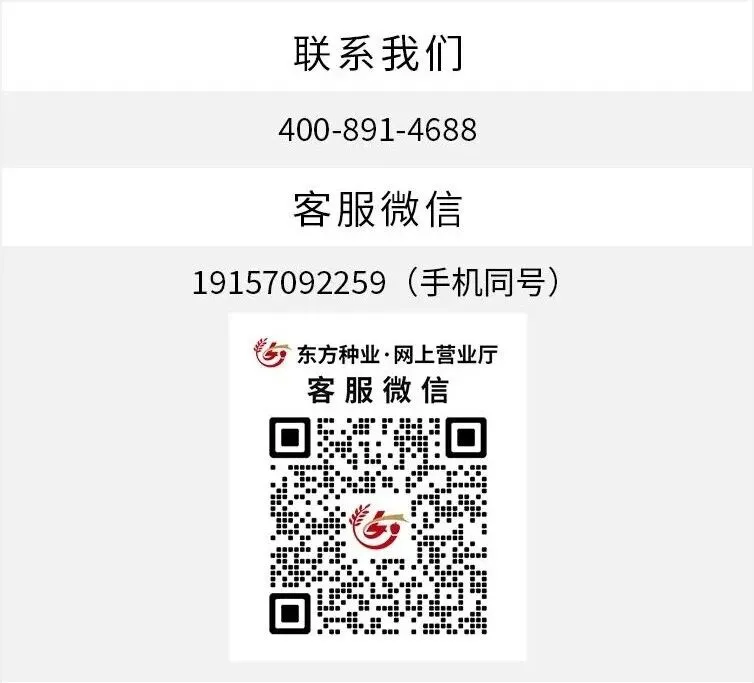 生姜市场藏着“无声异动”:别人都开始行动了,你却还没察觉?