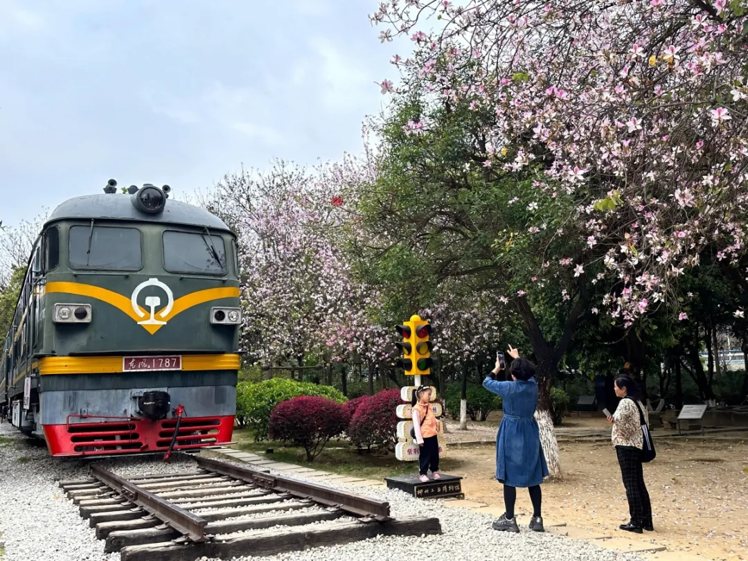 稳消费、增活力、提信心!八桂消费市场韧性十足……