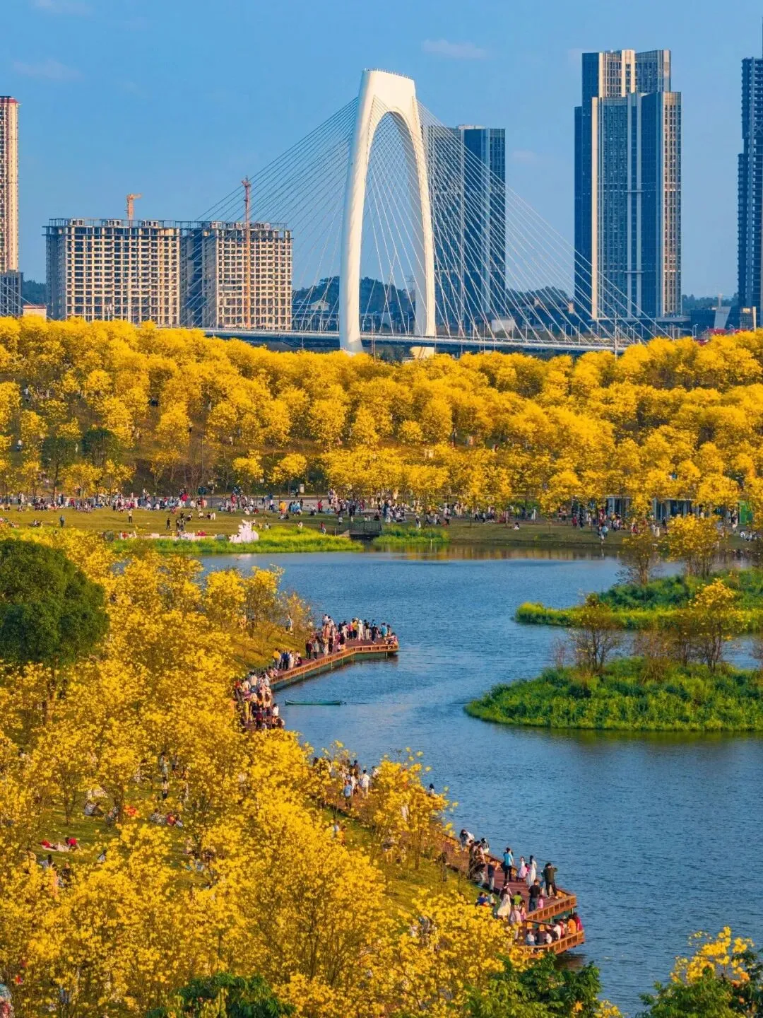 稳消费、增活力、提信心!八桂消费市场韧性十足……