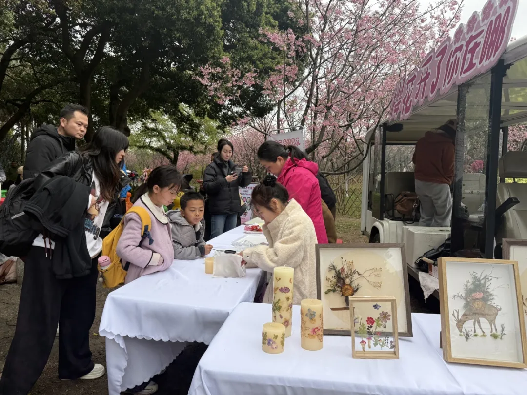 稳消费、增活力、提信心!八桂消费市场韧性十足……