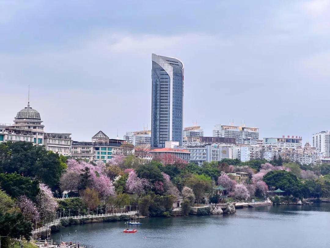 稳消费、增活力、提信心!八桂消费市场韧性十足……