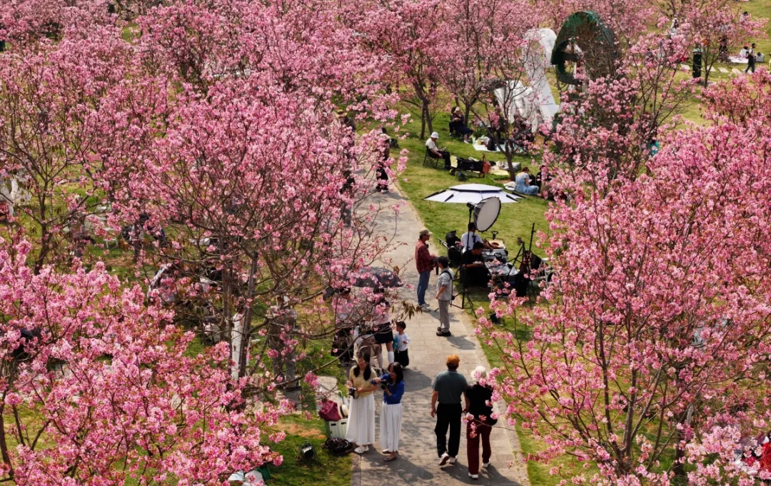 稳消费、增活力、提信心!八桂消费市场韧性十足……