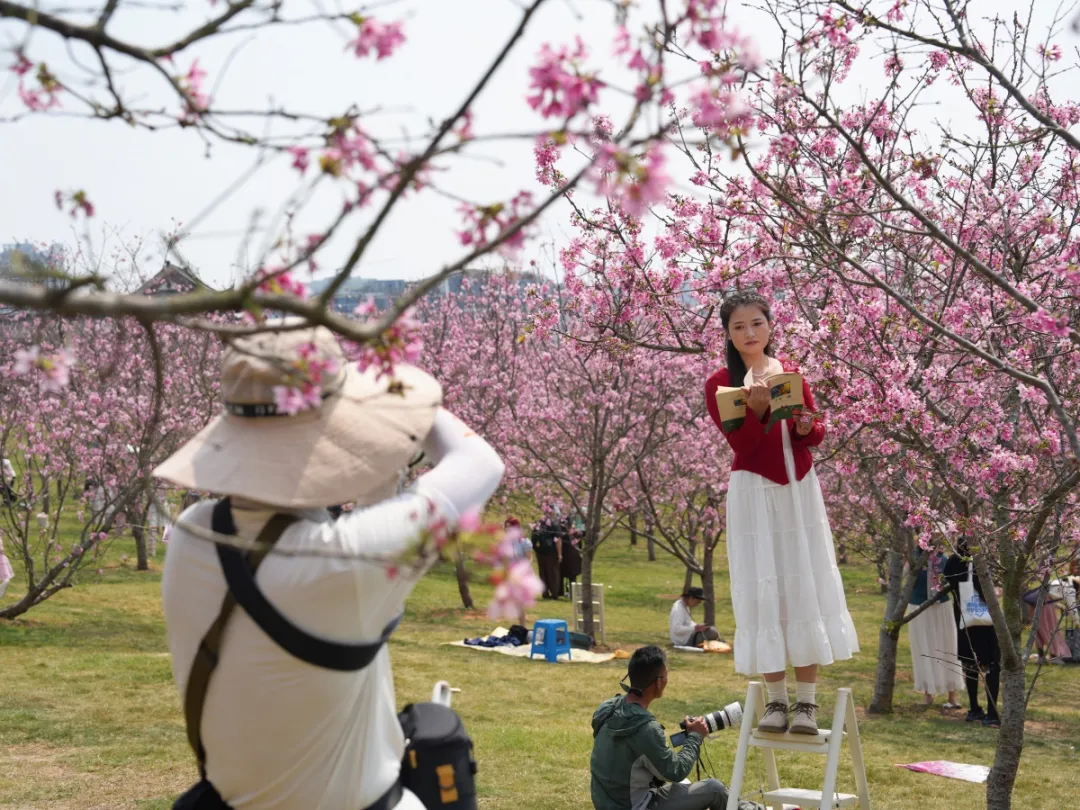 稳消费、增活力、提信心!八桂消费市场韧性十足……