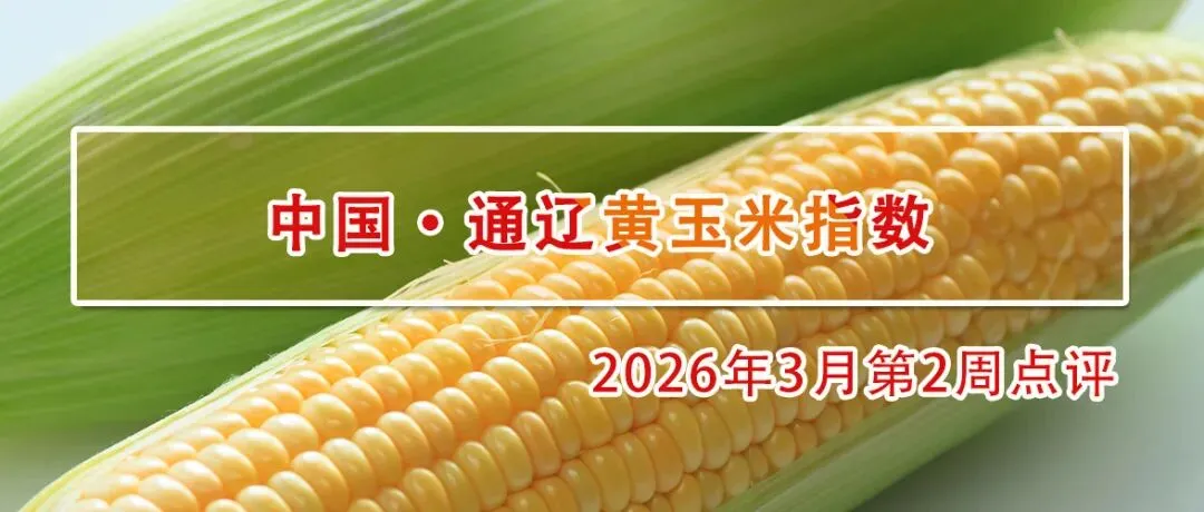 微跌0.01%,市场“强现实、弱预期”博弈,通辽黄玉米接下来怎么走?(附惠农政策)