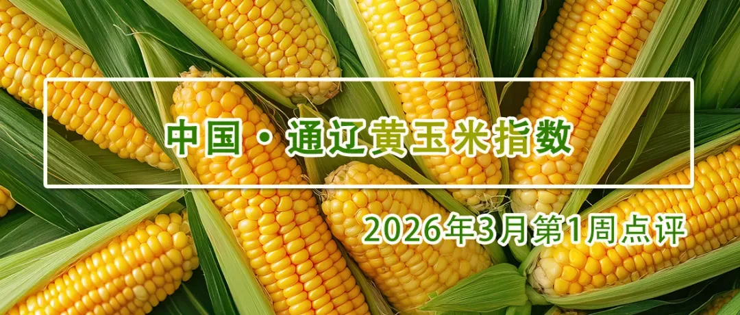 微跌0.01%,市场“强现实、弱预期”博弈,通辽黄玉米接下来怎么走?(附惠农政策)