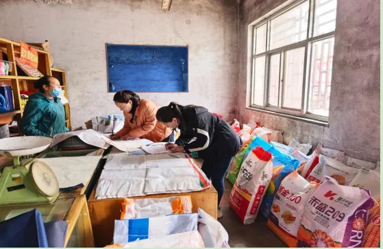 【平凉大发展 我该怎么办】  强化种子市场监管  保障春耕用种安全