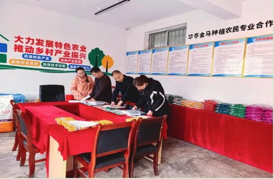 【平凉大发展 我该怎么办】  强化种子市场监管  保障春耕用种安全