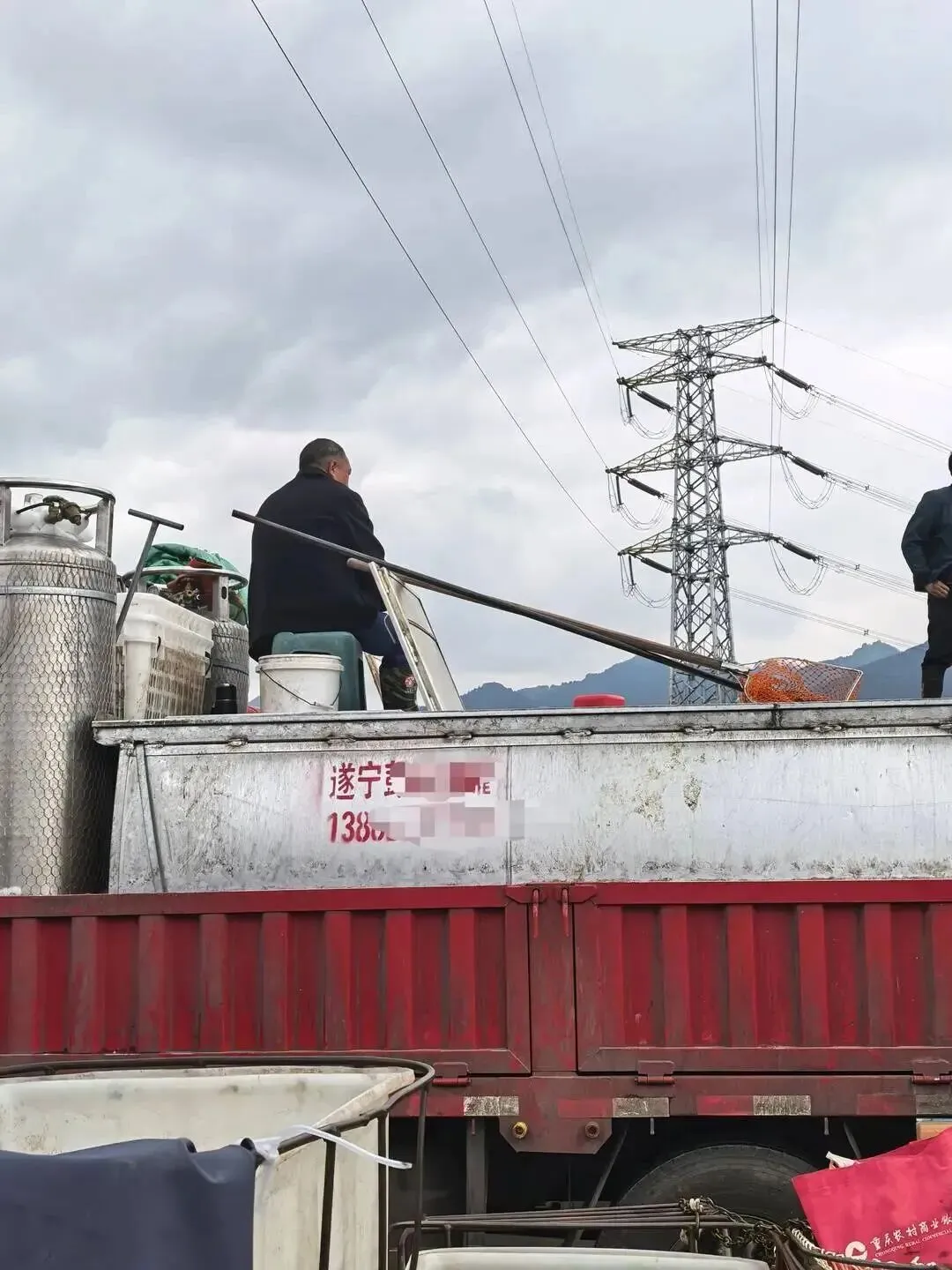 重庆一水产市场被曝“活鱼使用麻醉剂”,最新现场探访:丁香酚检测仪器即将投用,管理方称已加强巡查