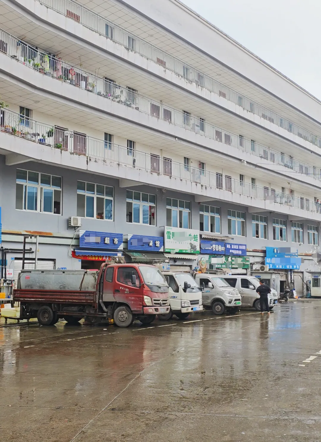 重庆一水产市场被曝“活鱼使用麻醉剂”,最新现场探访:丁香酚检测仪器即将投用,管理方称已加强巡查