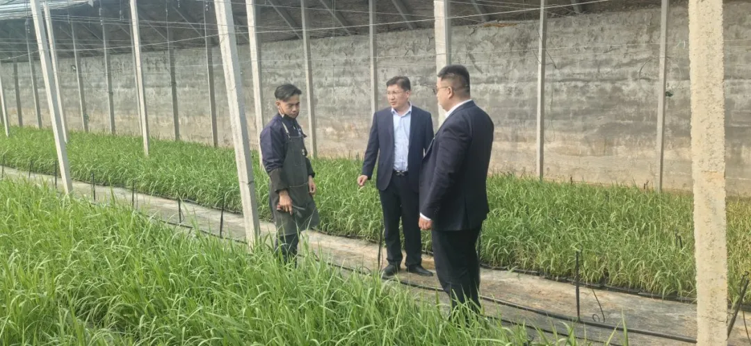 聚力同行 价值共赢 | 农商银行营销成效篇