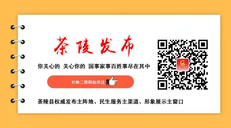 全县2026年市场监管工作会议召开  朱毅强作出批示