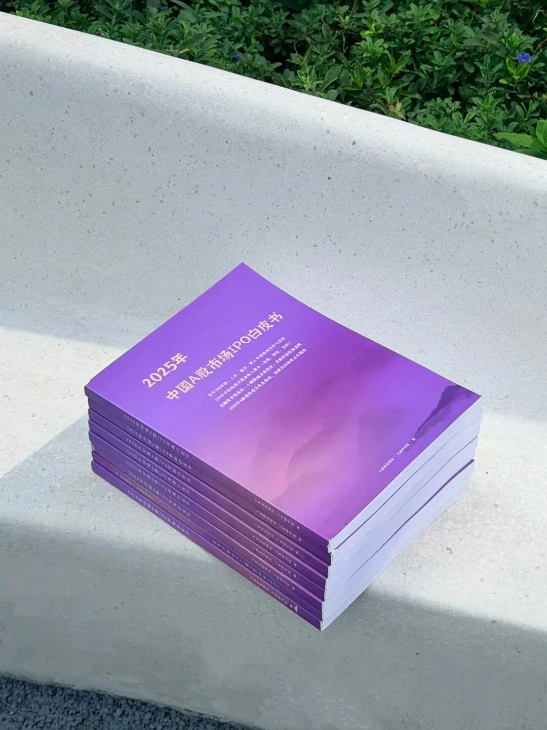 现货来了!《2025年中国A股IPO市场白皮书》解锁资本市场密码