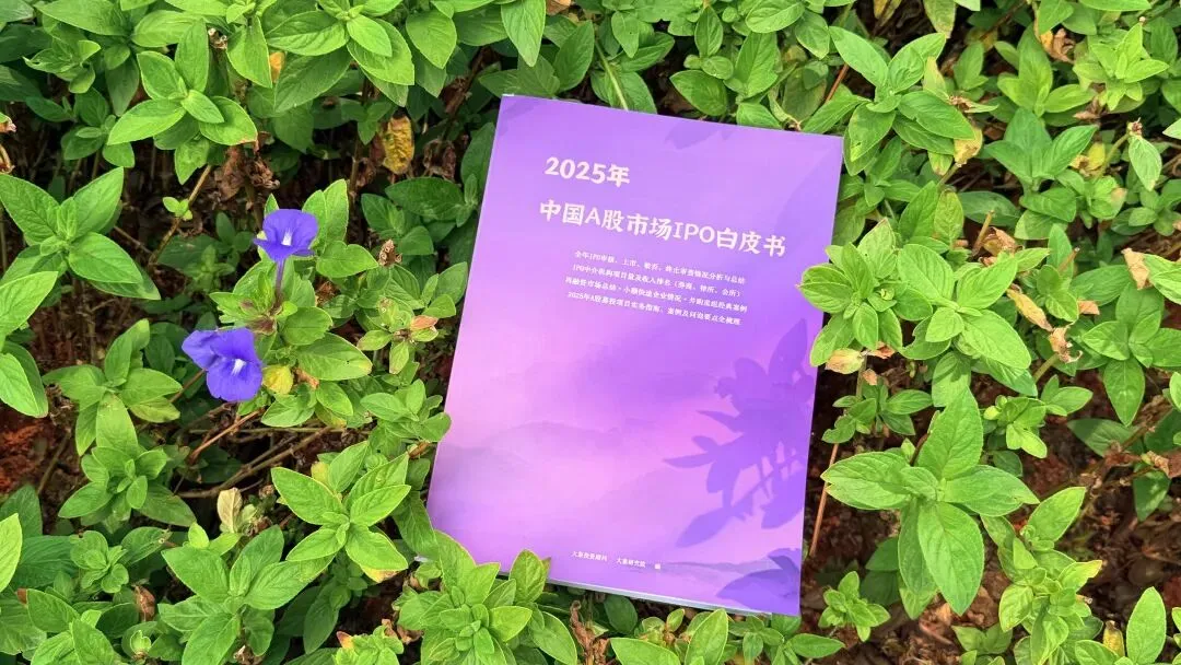 现货来了!《2025年中国A股IPO市场白皮书》解锁资本市场密码