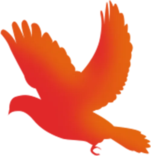 新华关注 | 第十一届年度书业营销推展发布活动举行,六项推选结果揭晓!