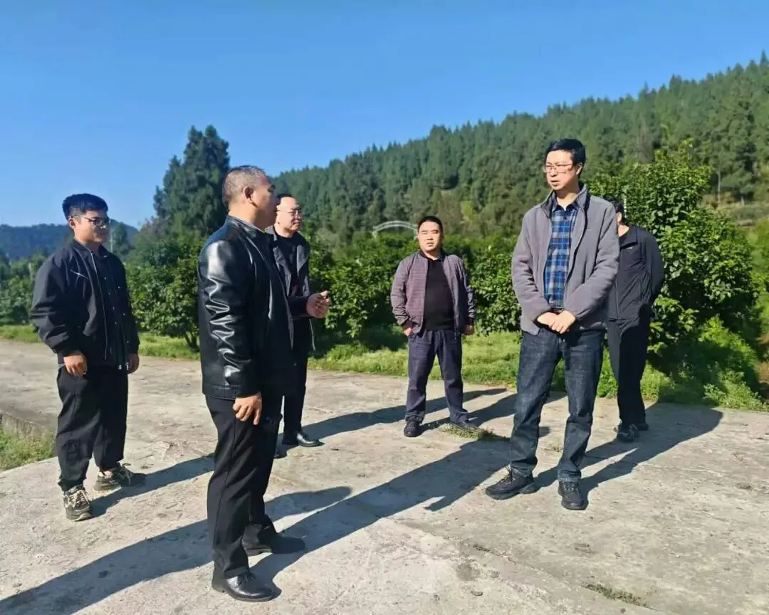 省市场监管局专题调研我市知识产权运用工作