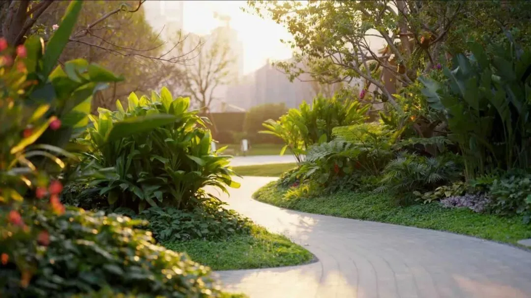 小阳春透视广州顶豪市场之变,香江1号现象背后的五重变革