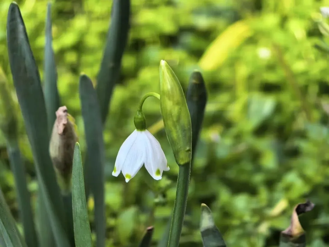 从社会热议的多起“恶俗营销”事件谈谈《广告法》的适用边界
