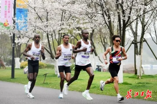 旅游营销趋势洞察:从流量内卷到心智深耕,解锁文旅增长新密码