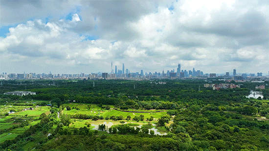 海珠新城营销中心电话:(2025最新价格/户型图)