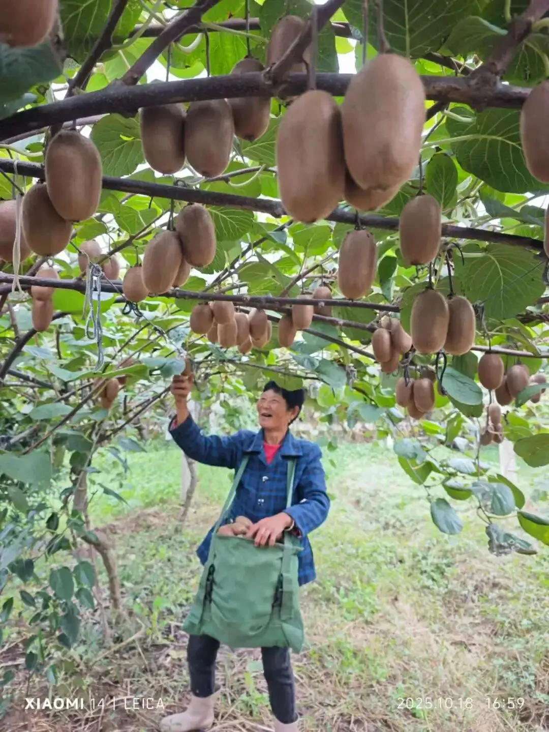 跳蚤市场【招仓储文员、收银员、娱乐主播、花艺小姐姐、车库出租、滴滴招司机、古筝出售】