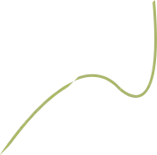 不忠诚+甩锅+营销GOAT!这女的把詹姆斯也骂的太狠了!