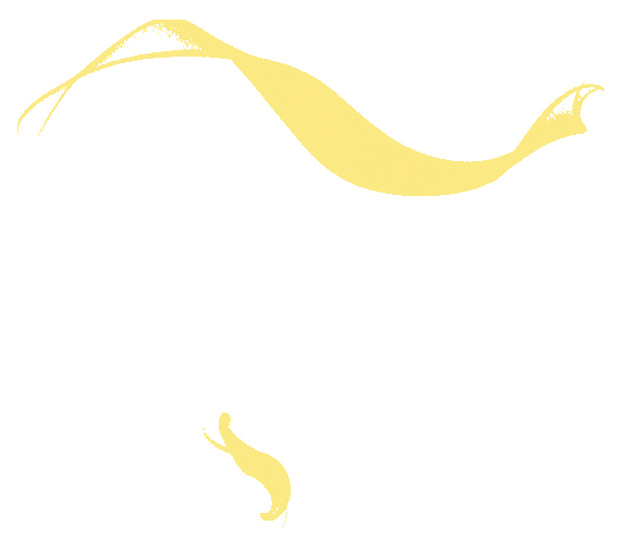 【建证城长 区域深耕】公司市场开拓中标捷报频传