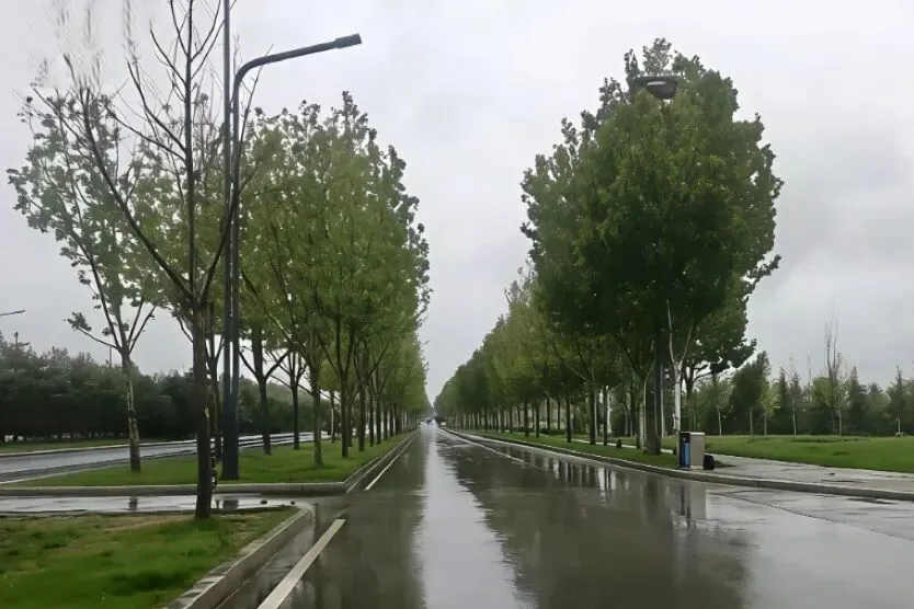 【建证城长 区域深耕】公司市场开拓中标捷报频传