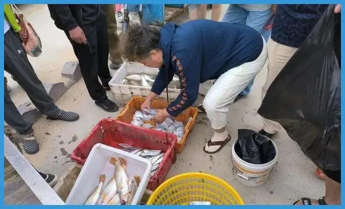 央视曝光:海鲜市场用“三无”麻醉剂甚至工业酒精麻醉活鱼,为方便装卸,防止在运输过程中掉鱼鳞