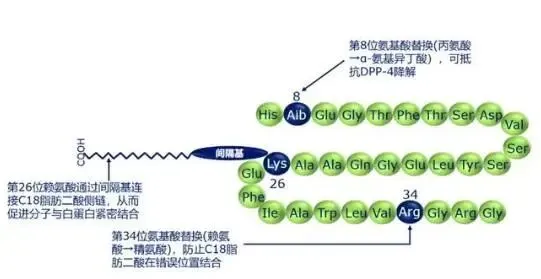 司美格鲁肽专利到期!中国GLP-1市场,正式进入“战国时代”