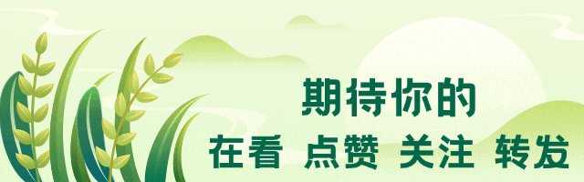 司美格鲁肽专利到期!中国GLP-1市场,正式进入“战国时代”