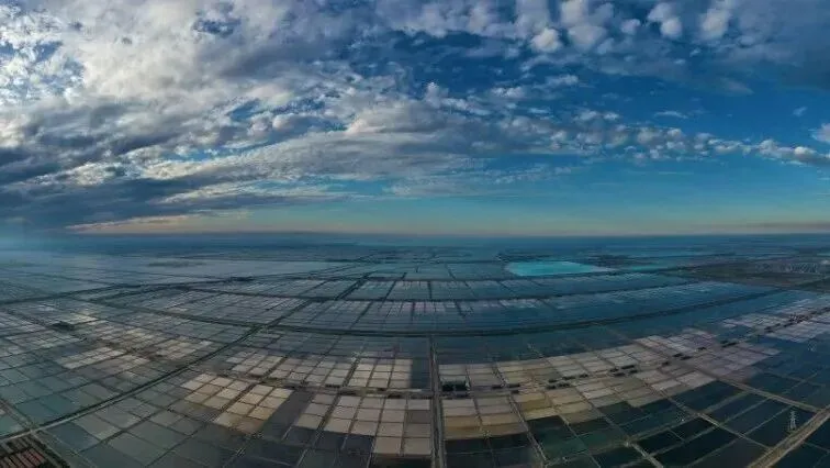 关于规范清明节、风筝会期间市场价格行为的提醒告诫函