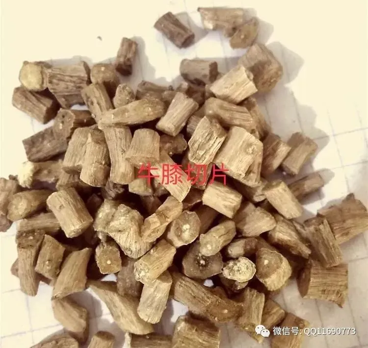 牛夕市场2026年继续看涨 种植面积少