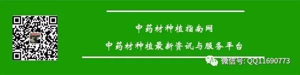 牛夕市场2026年继续看涨 种植面积少