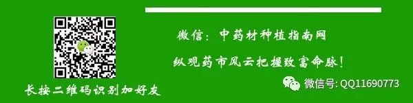 牛夕市场2026年继续看涨 种植面积少