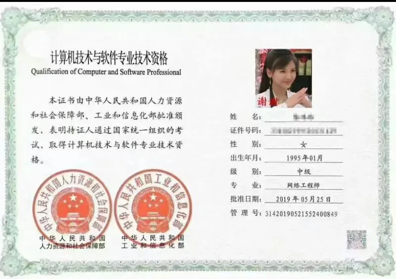 【计算机技术与软件专业技术资格考试】考证入户的哪些年(考9次、5次)哪些事,来自朋友圈