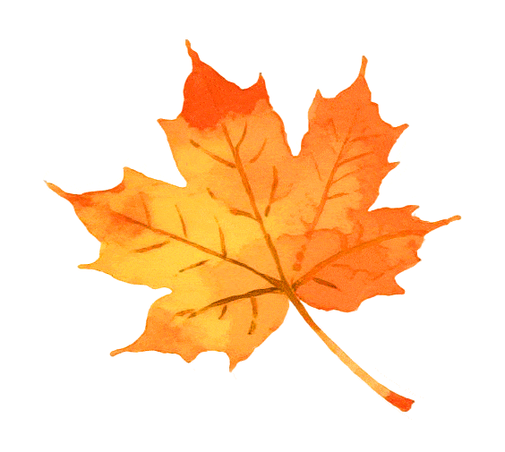 中小教培机构获客难?专业代运营团队帮您解决!