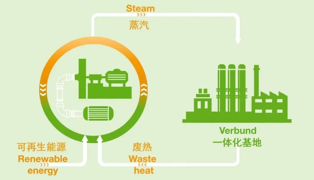 与中国市场同步增长:巴斯夫湛江一体化基地全面投产